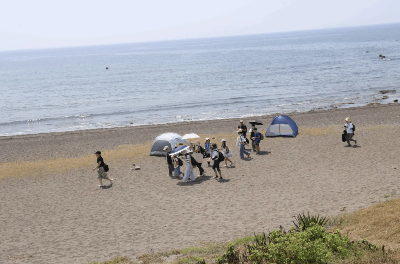 磯遊びの前の砂浜を、日傘や帽子の子どもたちとスタッフが歩き、テントが二つ張られている。